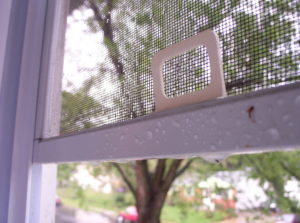 window-screen-after-a-rain-1500587