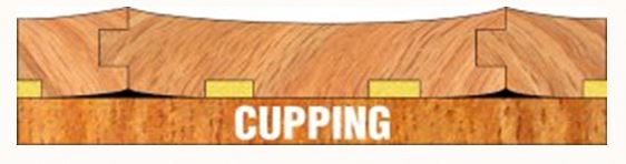 cupping