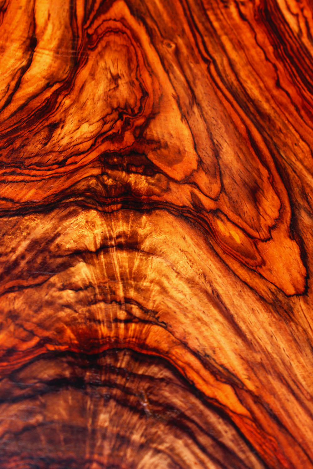 Cocobolo graining up close