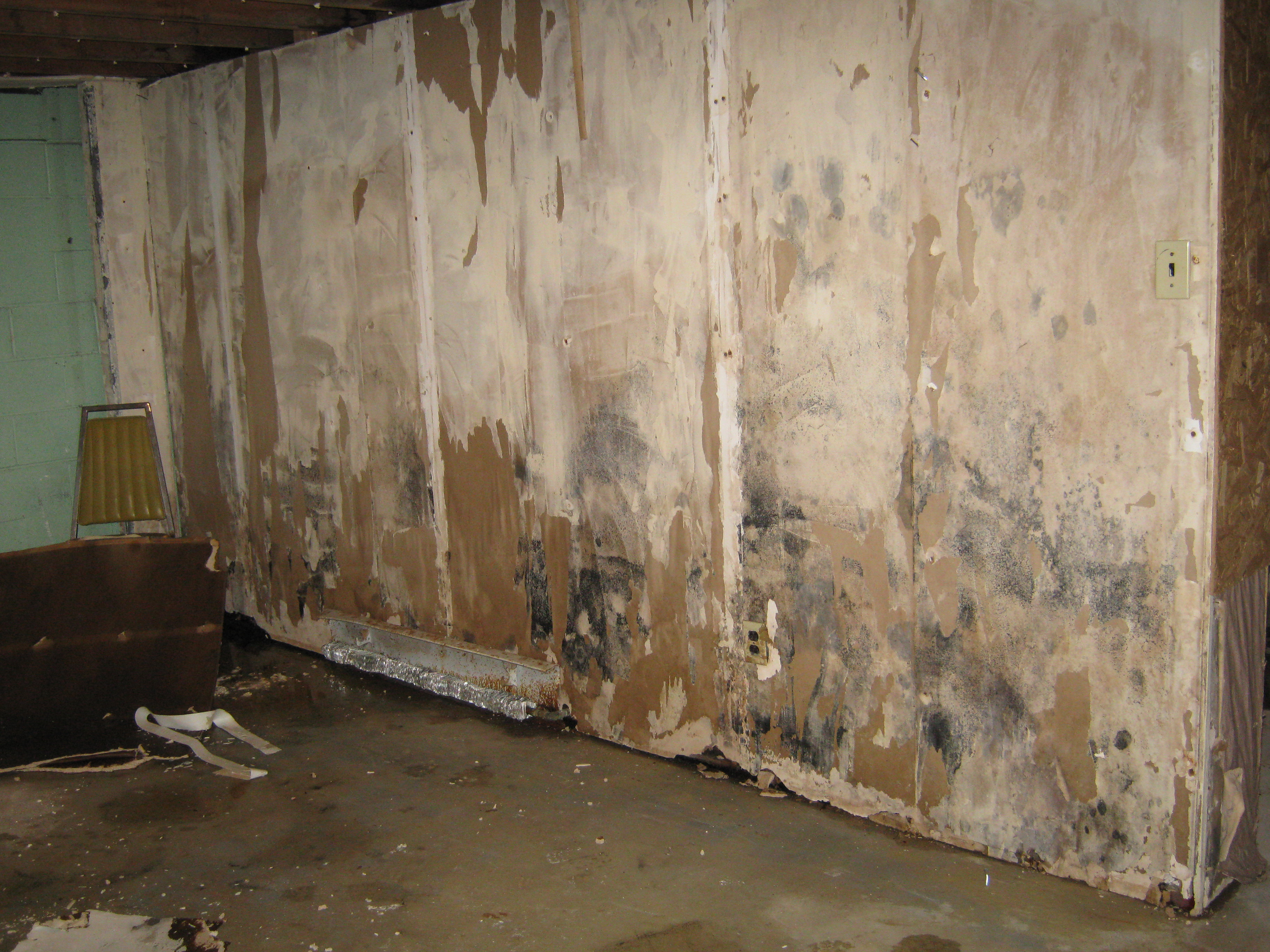 Water damage and mold