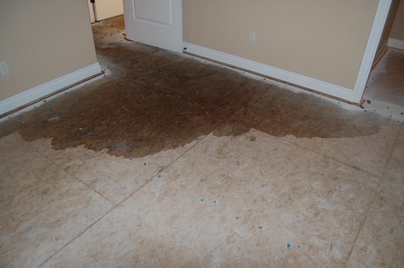 Water Damage to a Plywood Subfloor