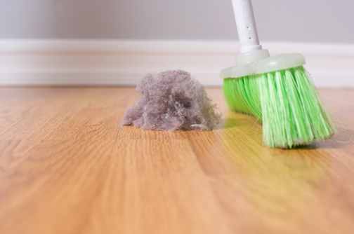 Dust on hardwood floor