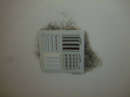 Mold Growth in HVAC Vents