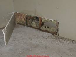 Mold-Growth in Drywall/Insullation