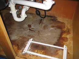 Mold Growth Under Kitchen Sink